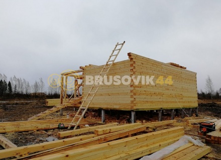 Дом 9х9 из профилированного бруса 145х195 мм, Костромская область, поселок Зарубино